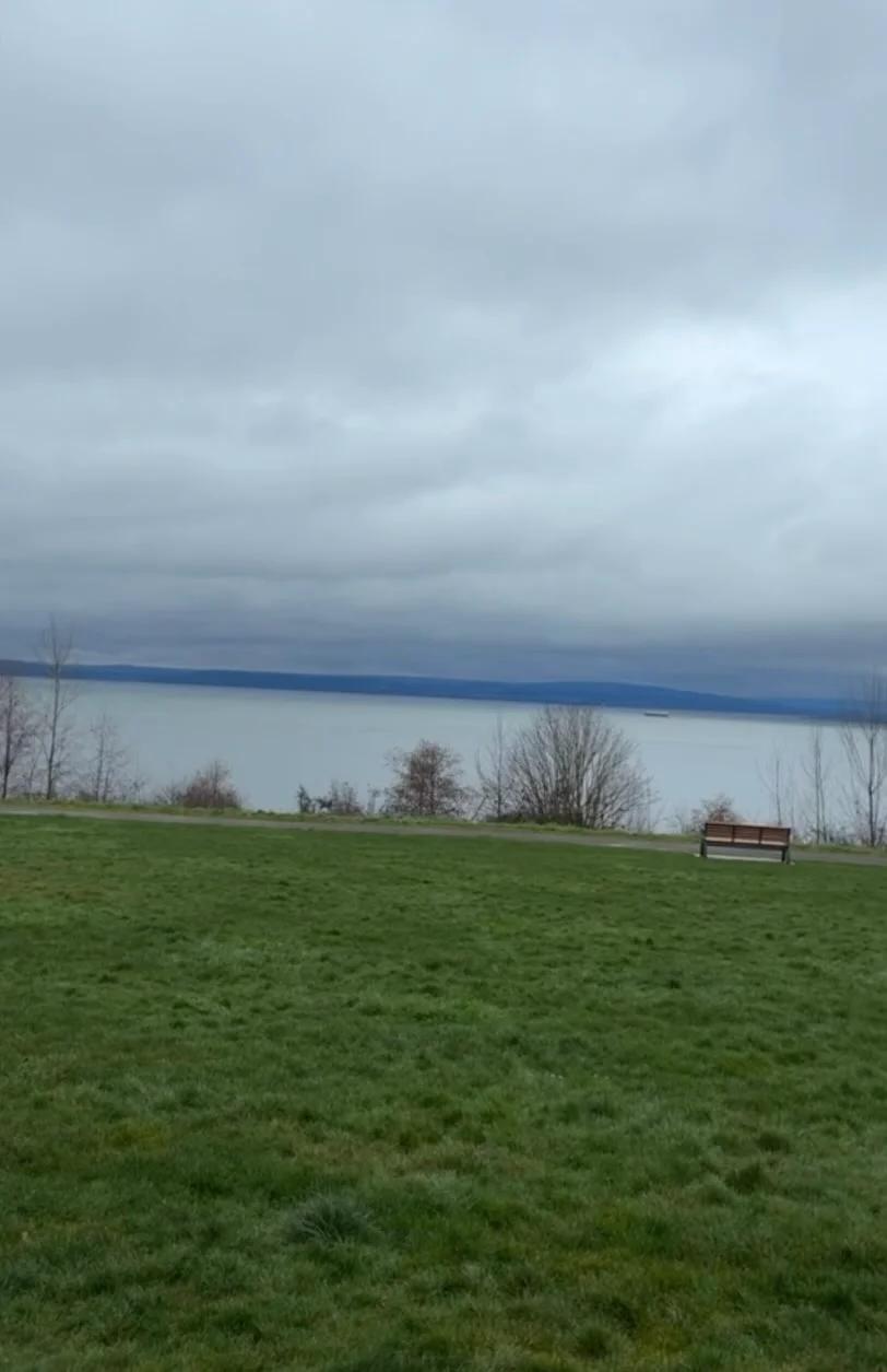 Reset Your Energy Alignment for Creative Mom Success