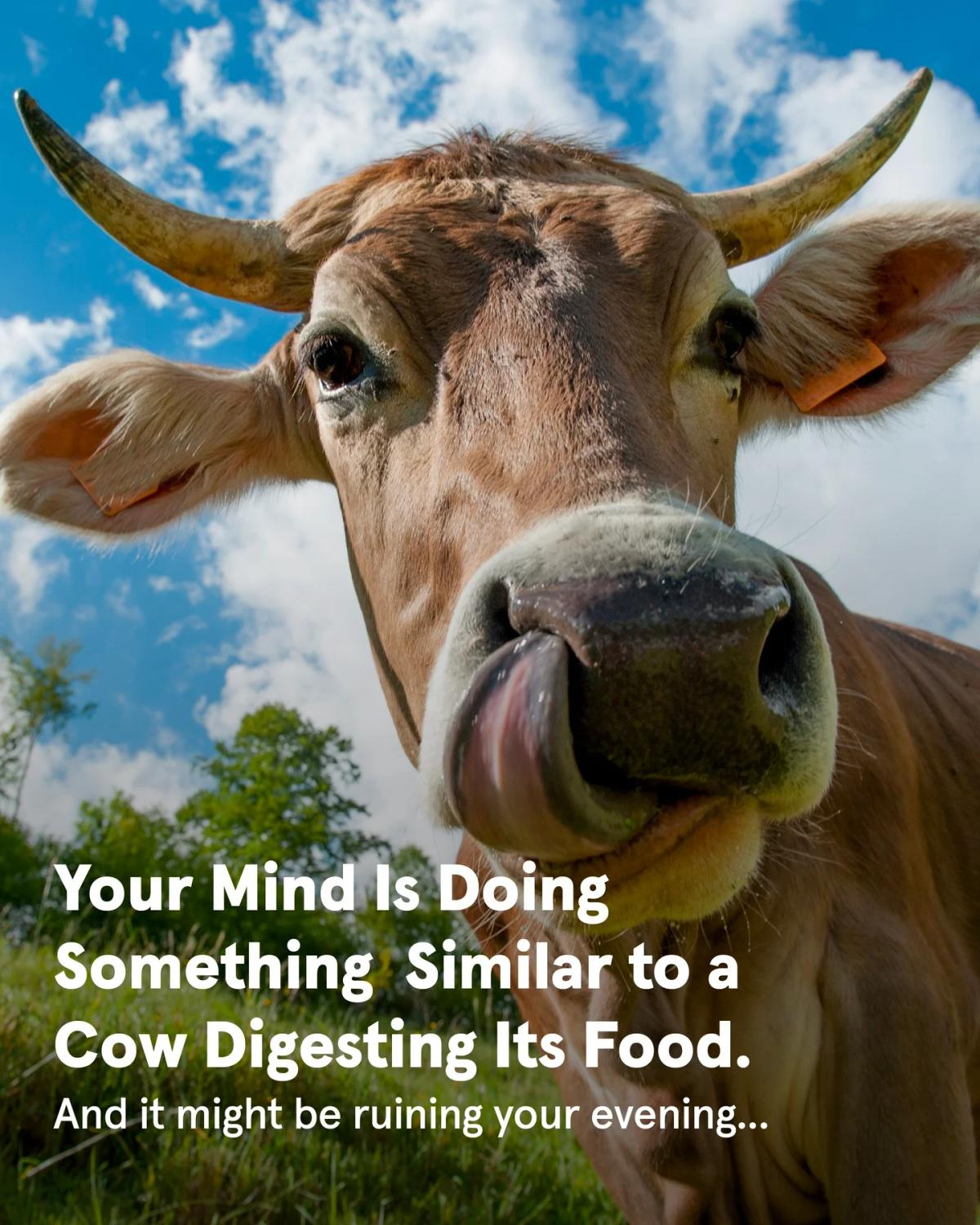 Mental Rumination Is Unpaid Overtime on Your Mind