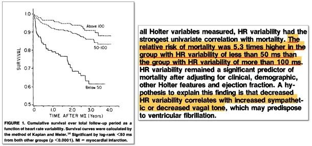 Low HRV Significantly Increases Heart Attack and Death Risk