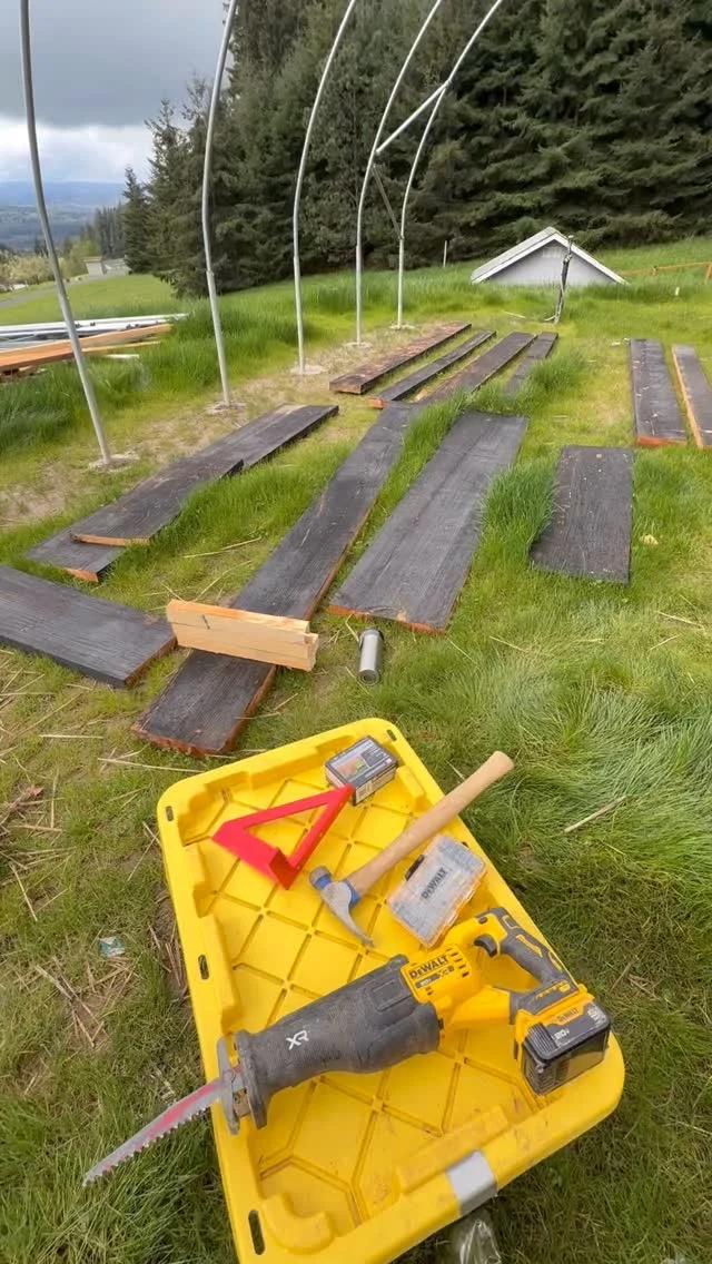 Building Homestead Resilience with Gardens and Mushrooms