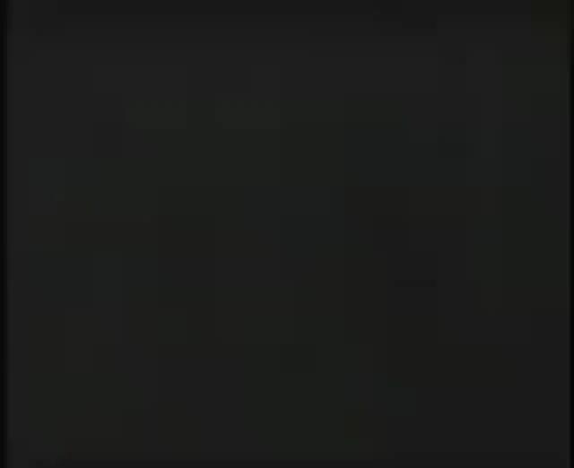 Cholesterol Isn’t the Enemy; Seed Oil Myths Persist