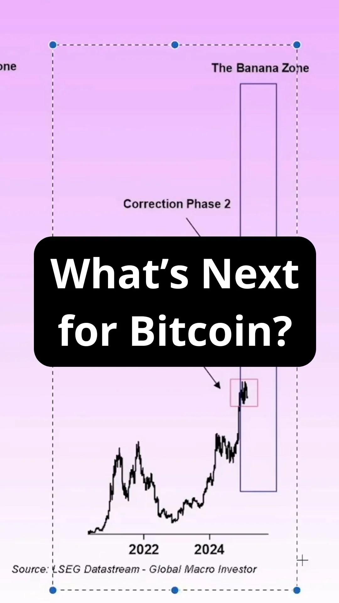 Surprising Truth Behind the Banana Zone Revealed