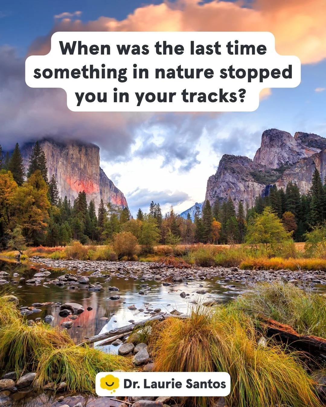 Awe Shrinks Problems, Boosts Perspective