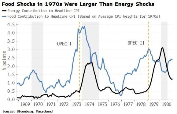 1970s Food Shocks Outpaced Energy Crises, Says White
