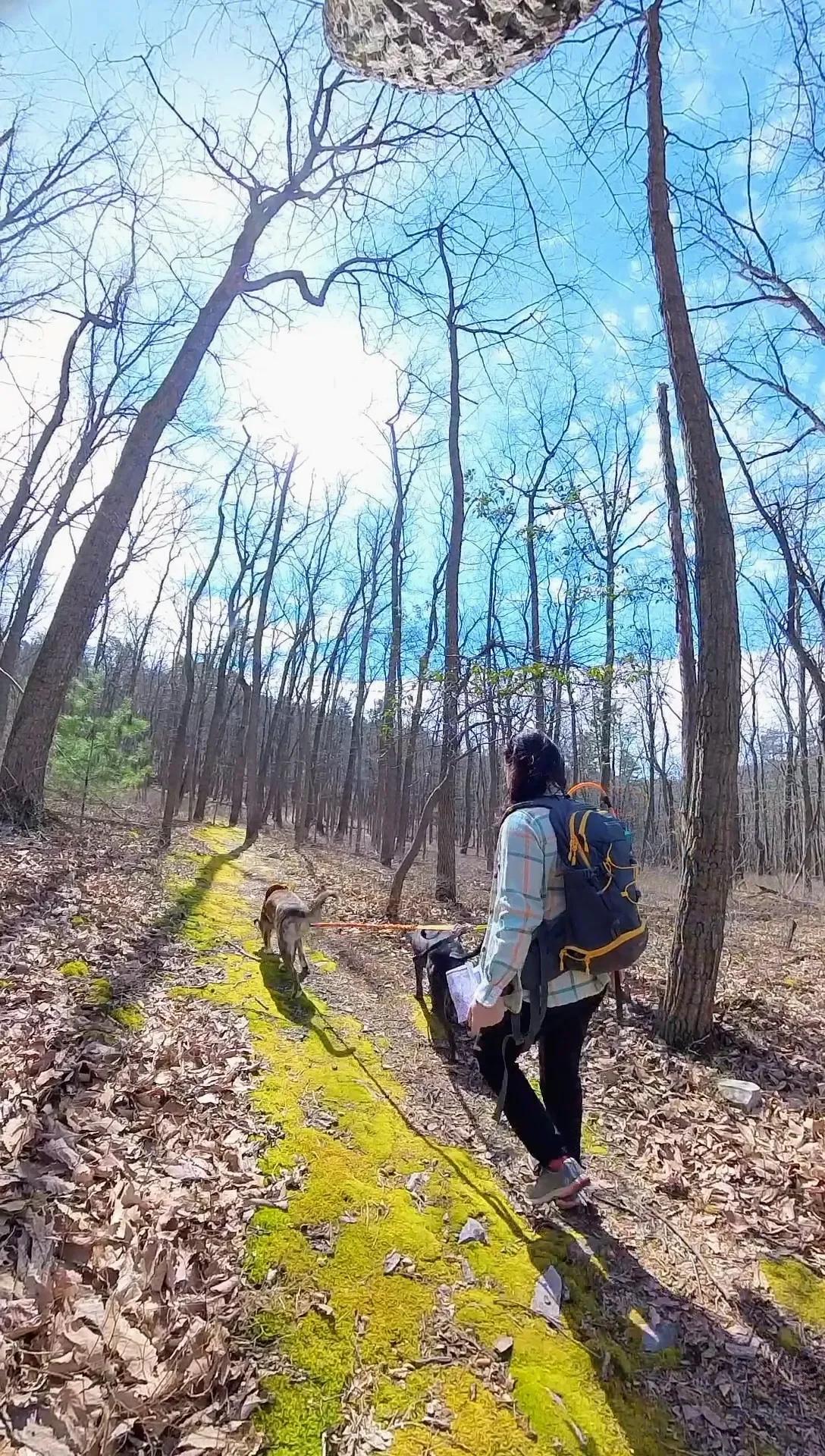 Training Orienteering Skills with Dogs at Kings Gap