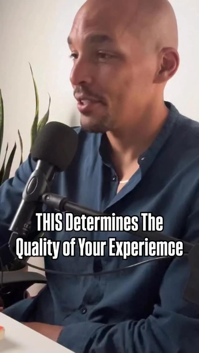 Your Inner Mindset Shapes Your Outer Reality