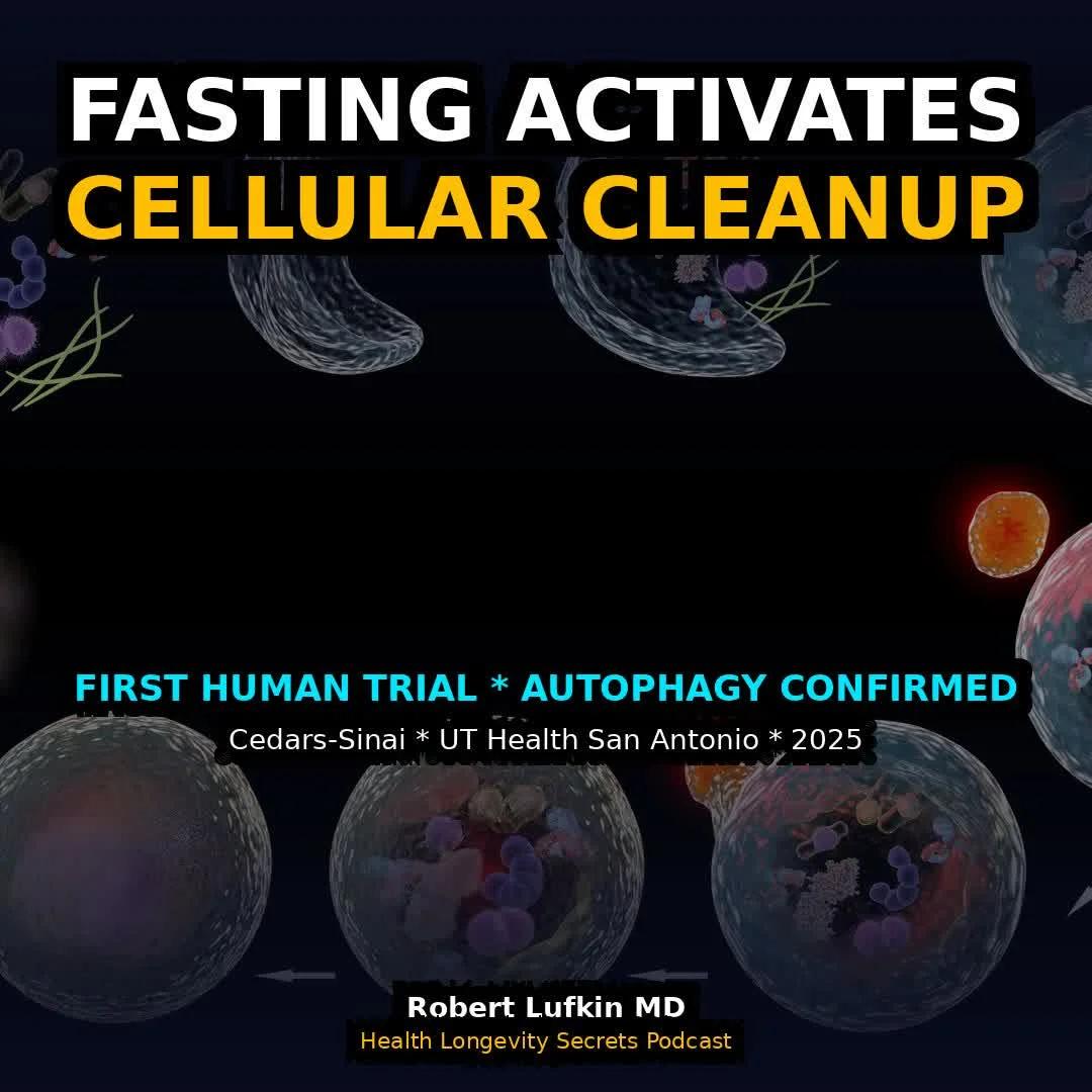 First Human Trial Shows Fasting Mimic Boosts Autophagy