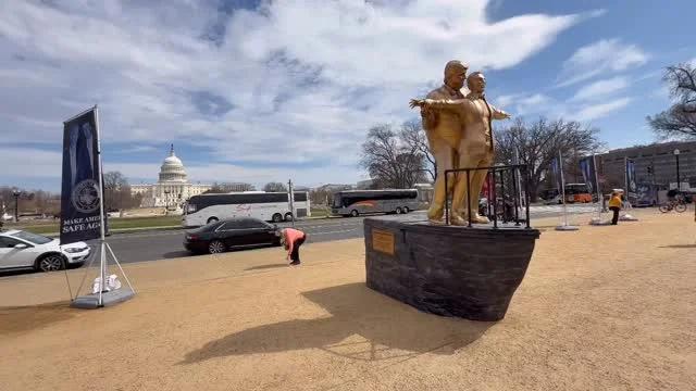 Satirical Trump‑Epstein Installation Tests First Amendment on Mall