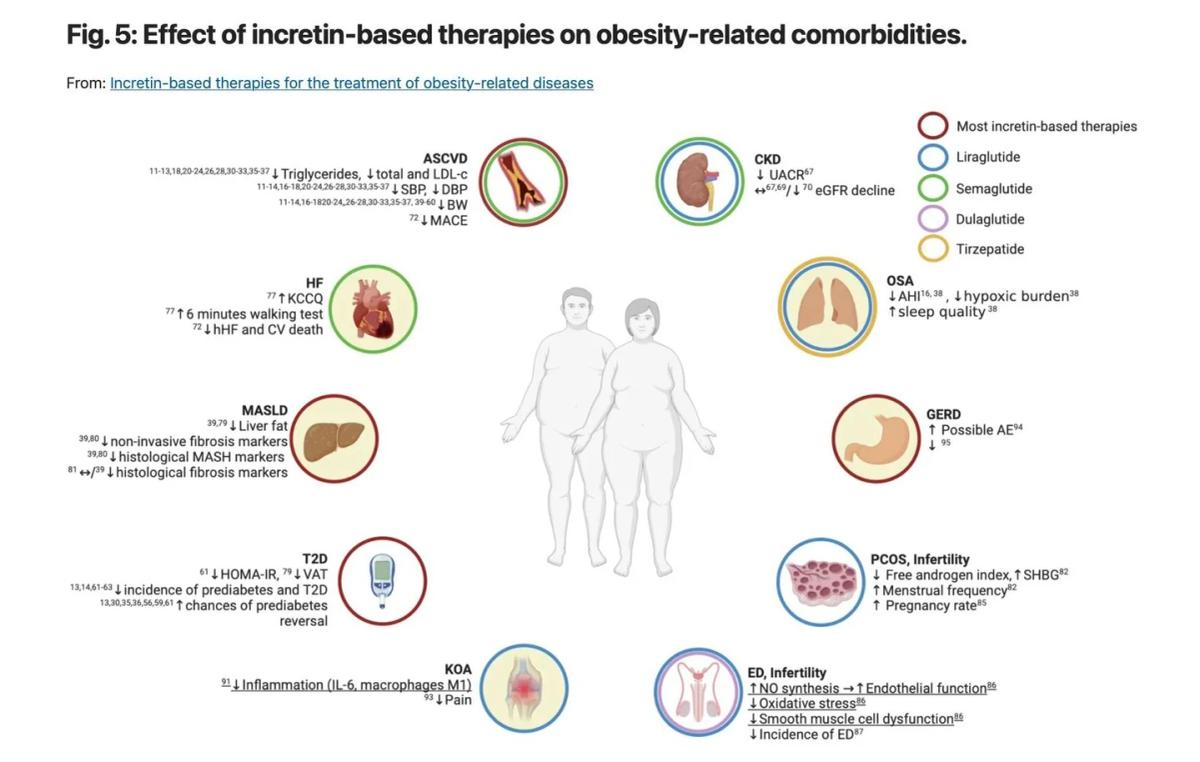 GLP‑1 Therapies Improve Metabolism Beyond Weight Loss