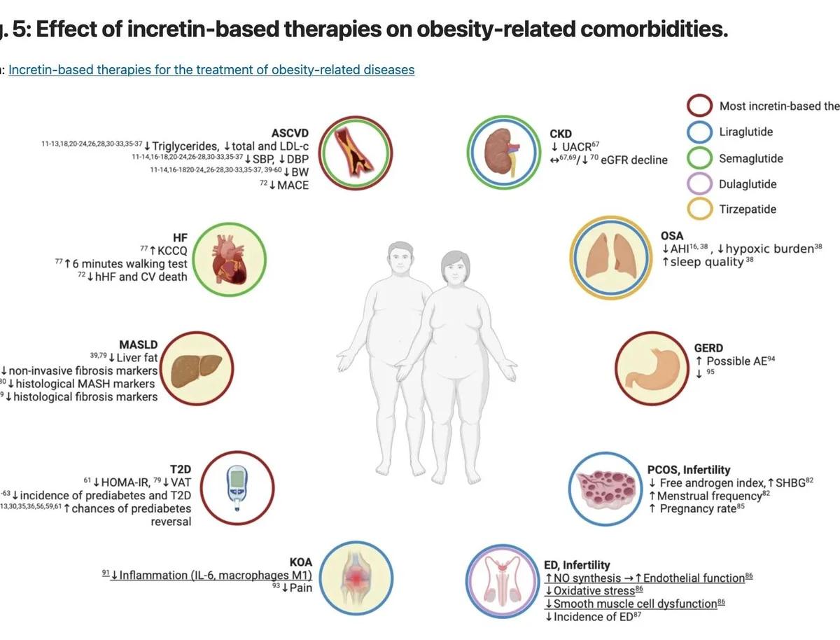 GLP‑1 Therapies Improve Metabolism Beyond Weight Loss