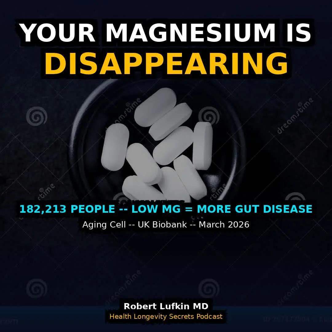 Aging Gut Loses Magnesium, Boosting Inflammation Risk