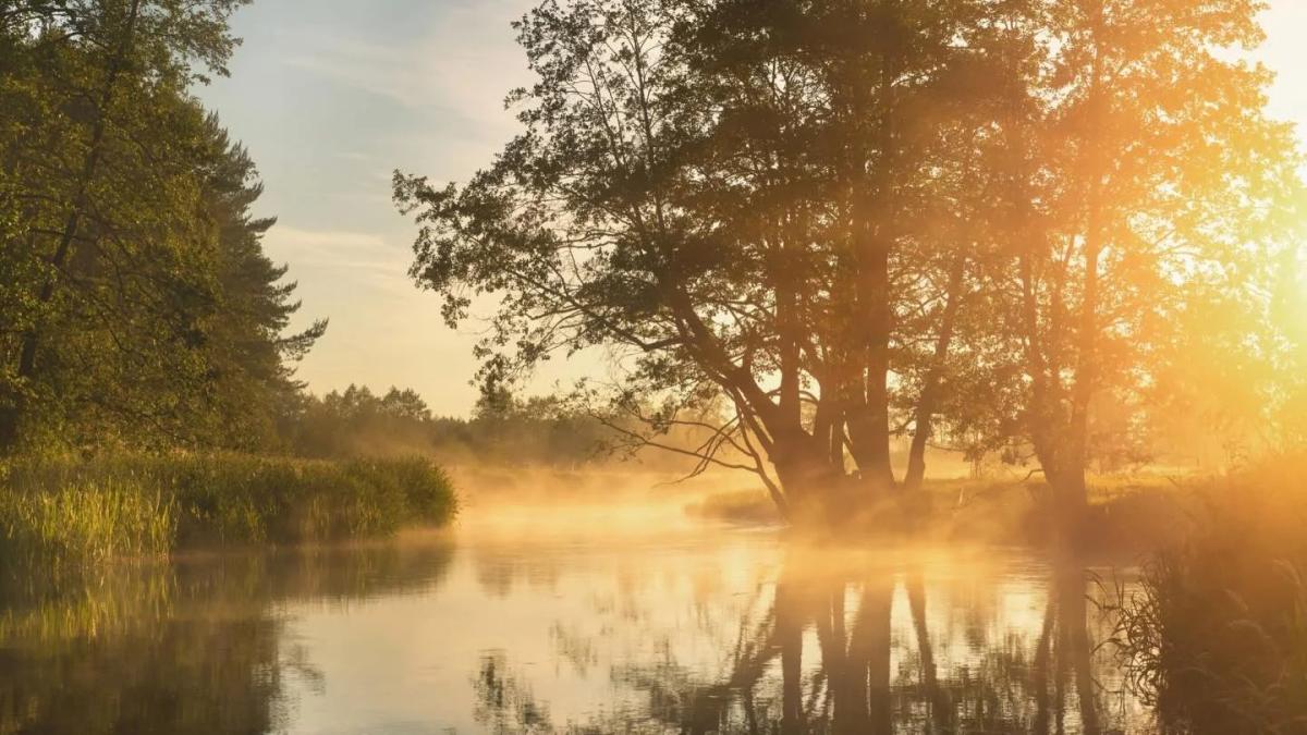 Discover Your Boundless Home Through Awake Awareness