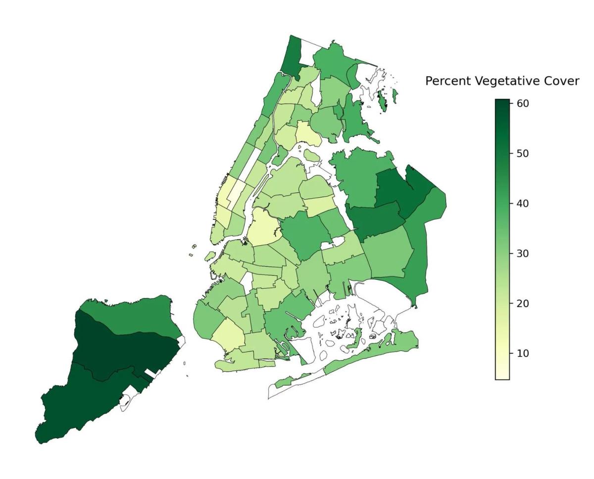 Tree‑less Neighborhoods Face Heat, Asthma, and Inequity