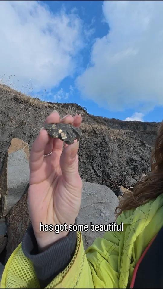 Geologist Finds Pyrite Crystal Structure on Jurassic Coast