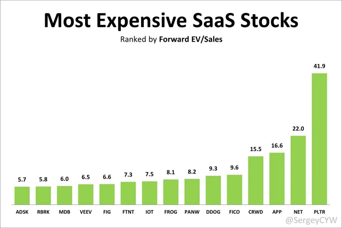 SaaS Premiums: Palantir Leads, Momentum vs Value