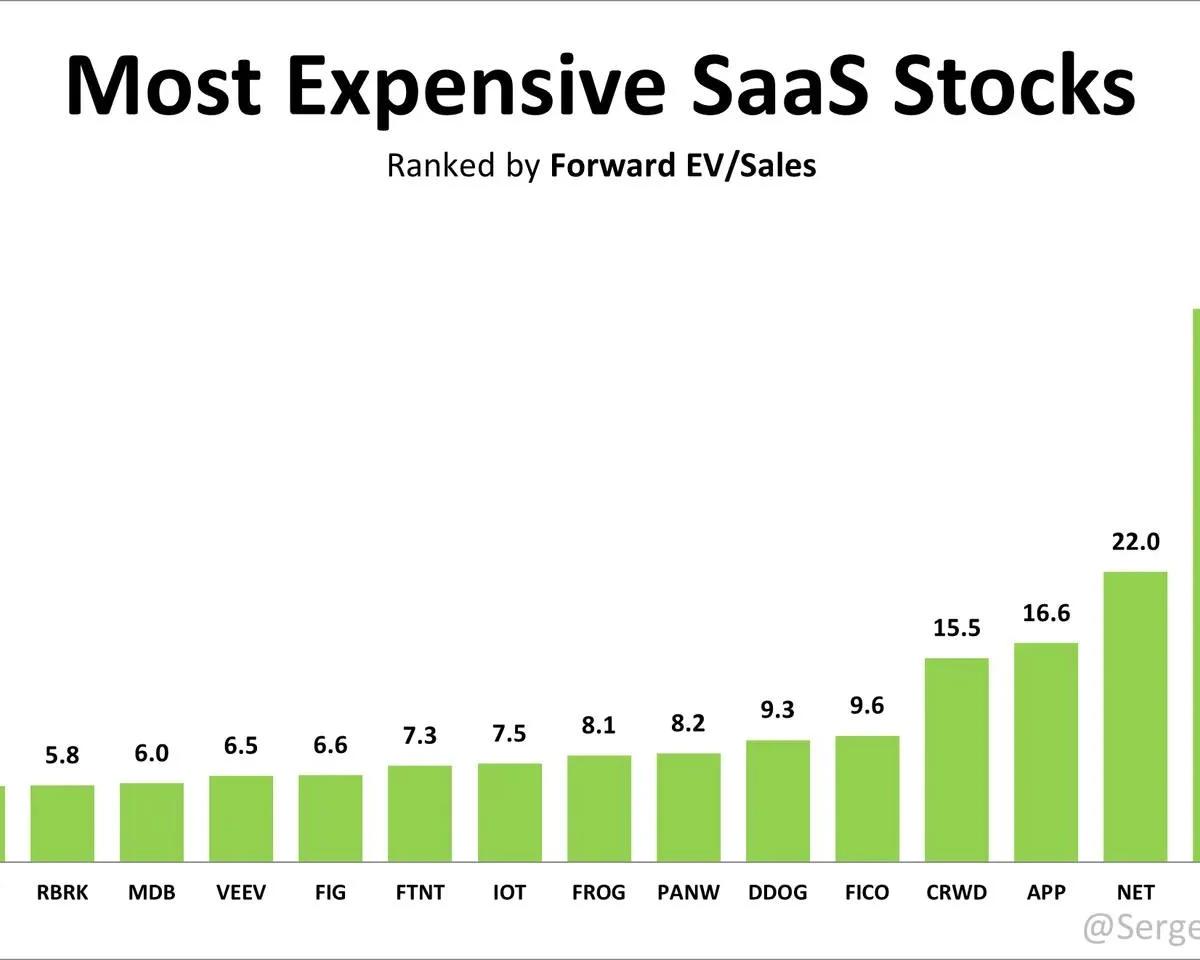 SaaS Premiums: Palantir Leads, Momentum vs Value