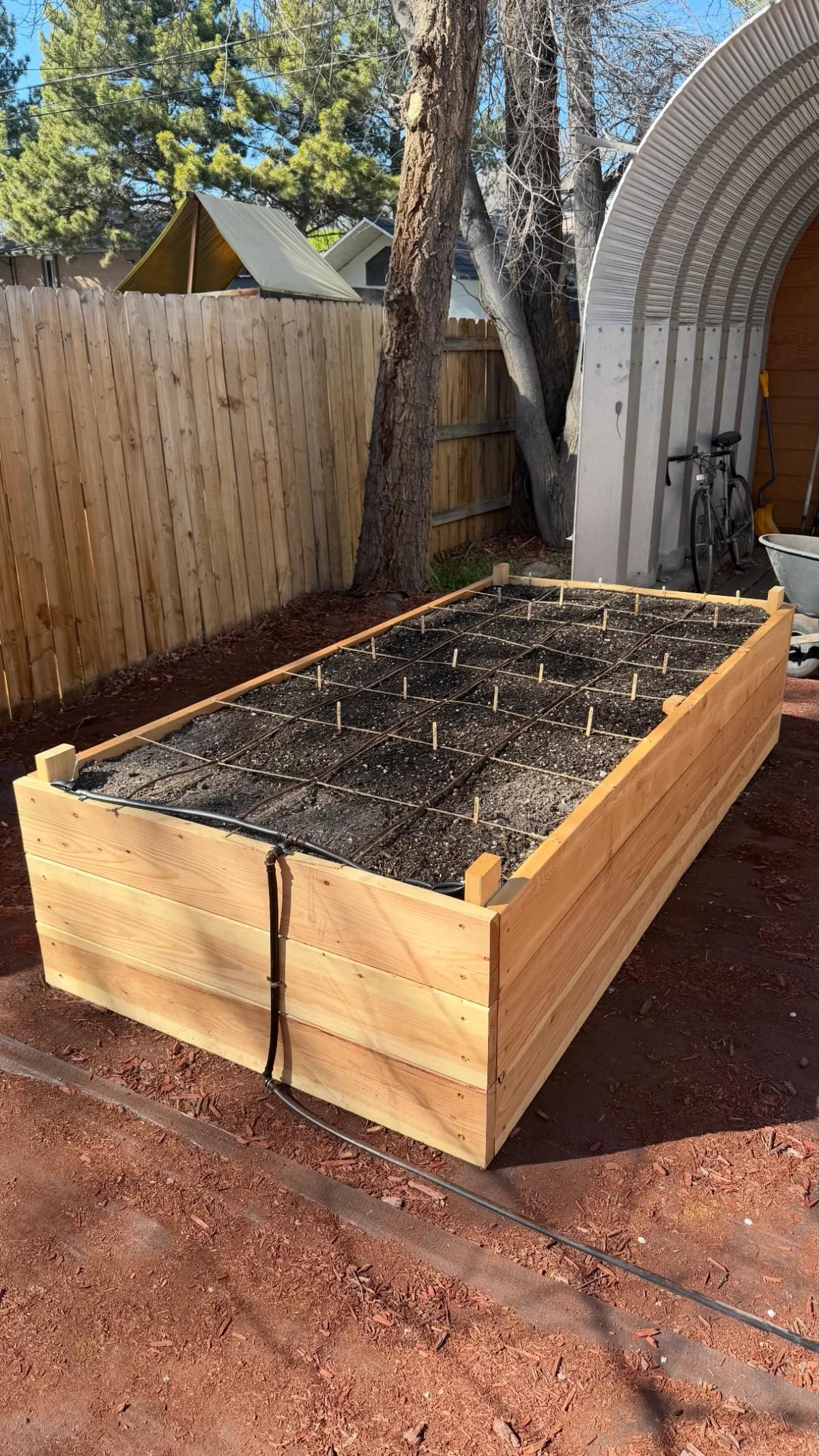 Months of Effort, Weeks From $0.35 Veg