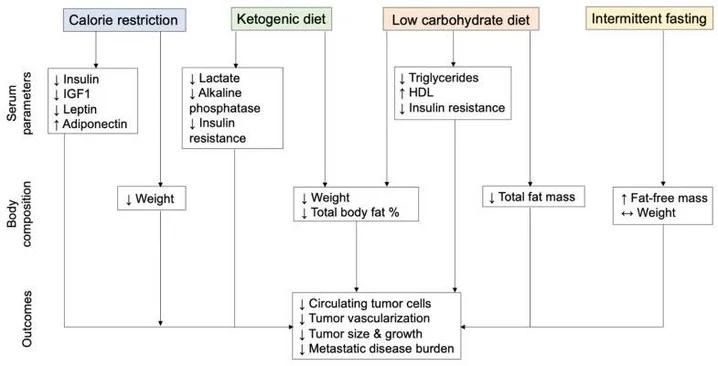 Insulin‑Lowering Diets Show Promise for Metastatic Cancer