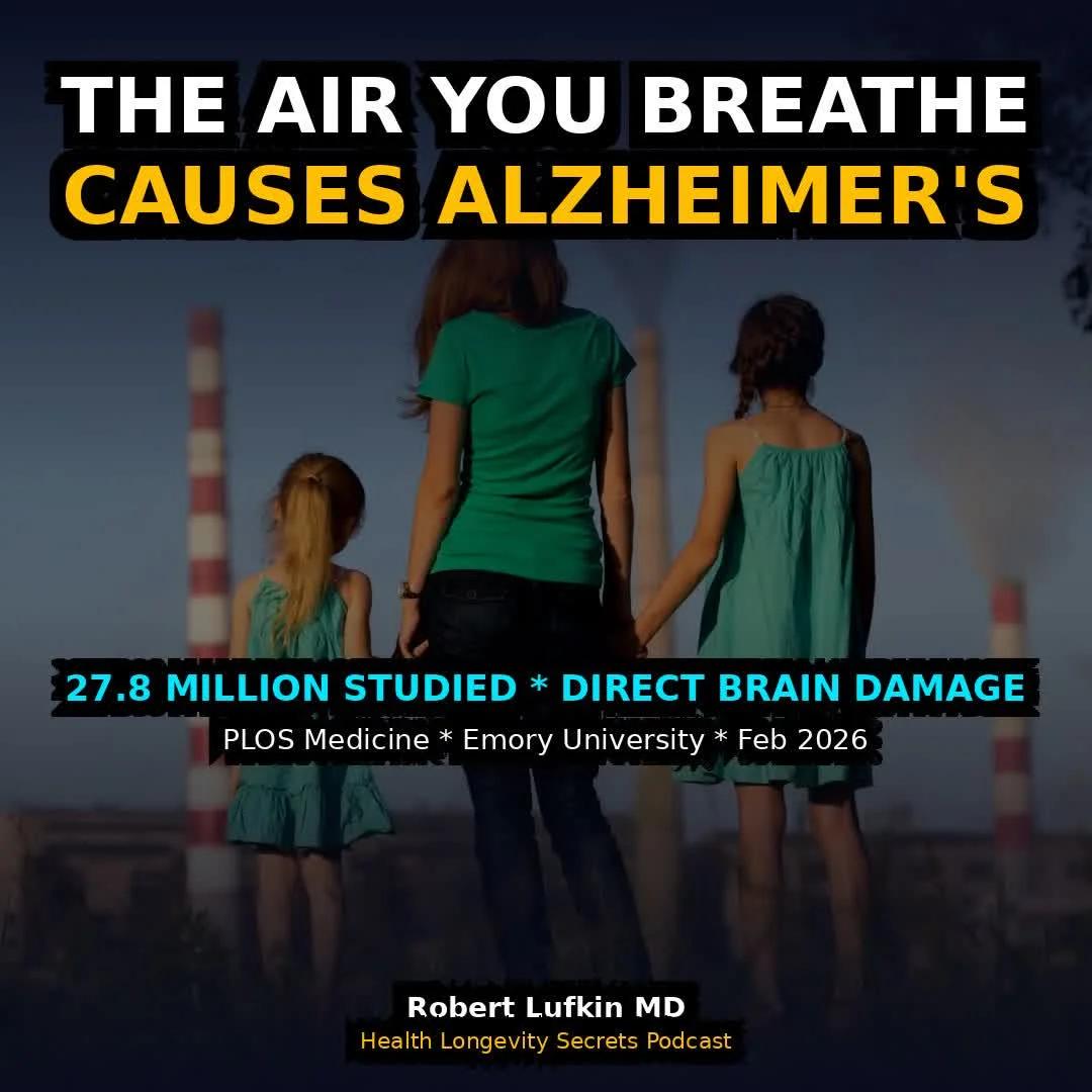 Fine Particulate Air Pollution Raises Alzheimer's Risk