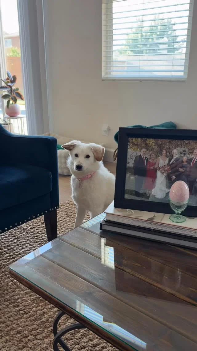 One of Us Can’t Wait for Artemis II’s Return