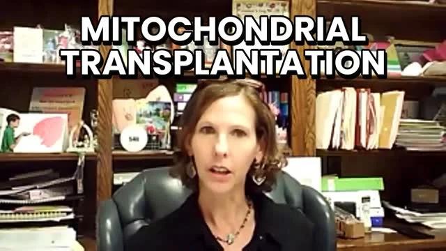 Young Mitochondria Transplants Could Reverse Aging and Disease