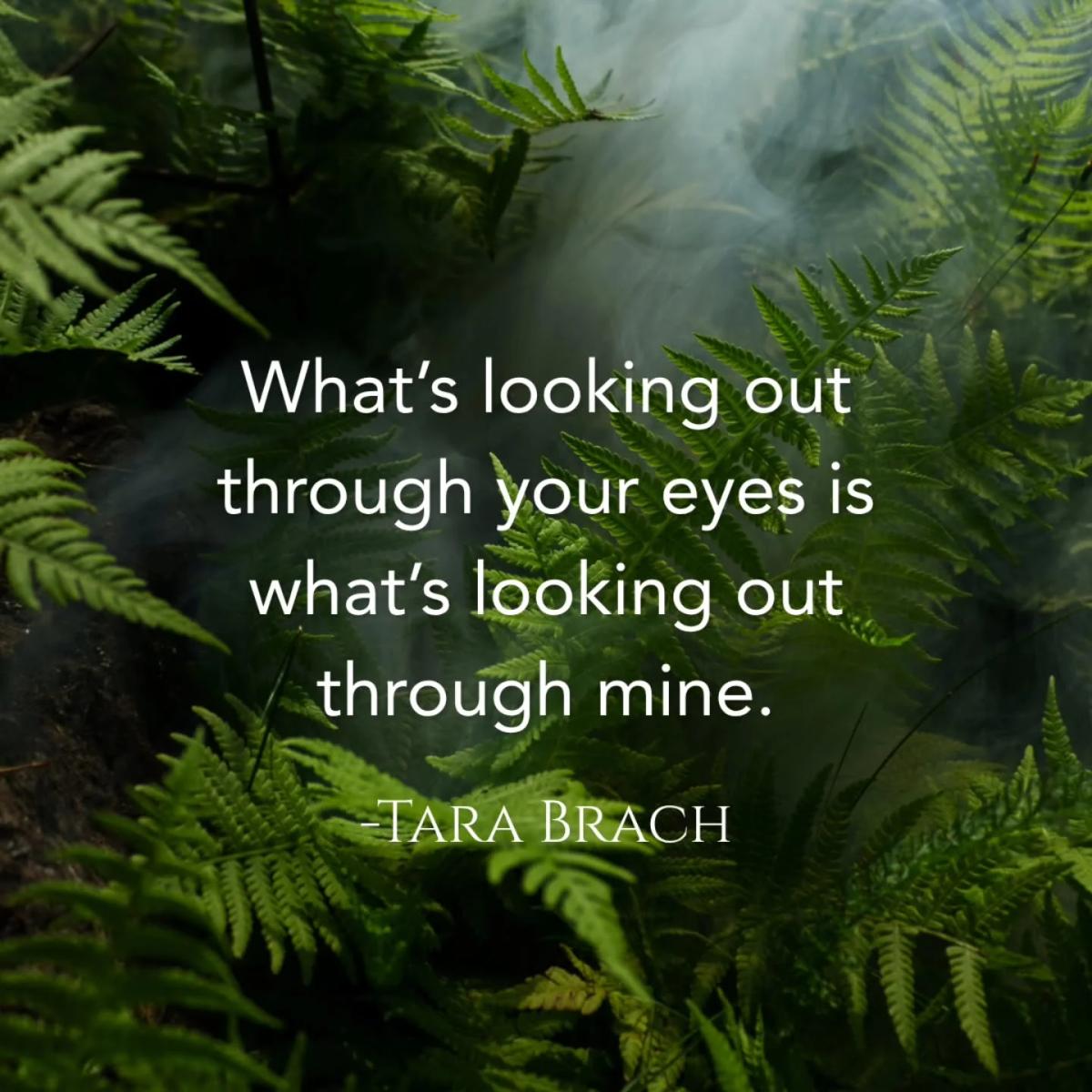 Seeing Through Each Other's Eyes Creates Shared Compassion