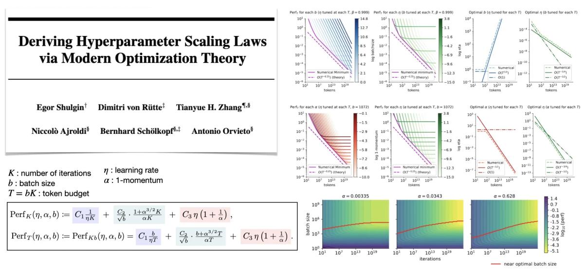 Optimization Theory Predicts LLM Hyperparameter Scaling Laws