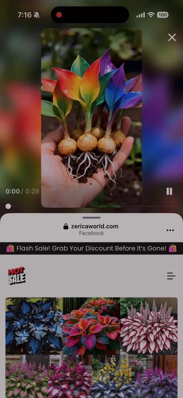 Meta Lets AI Plant Scams Profit From Ads