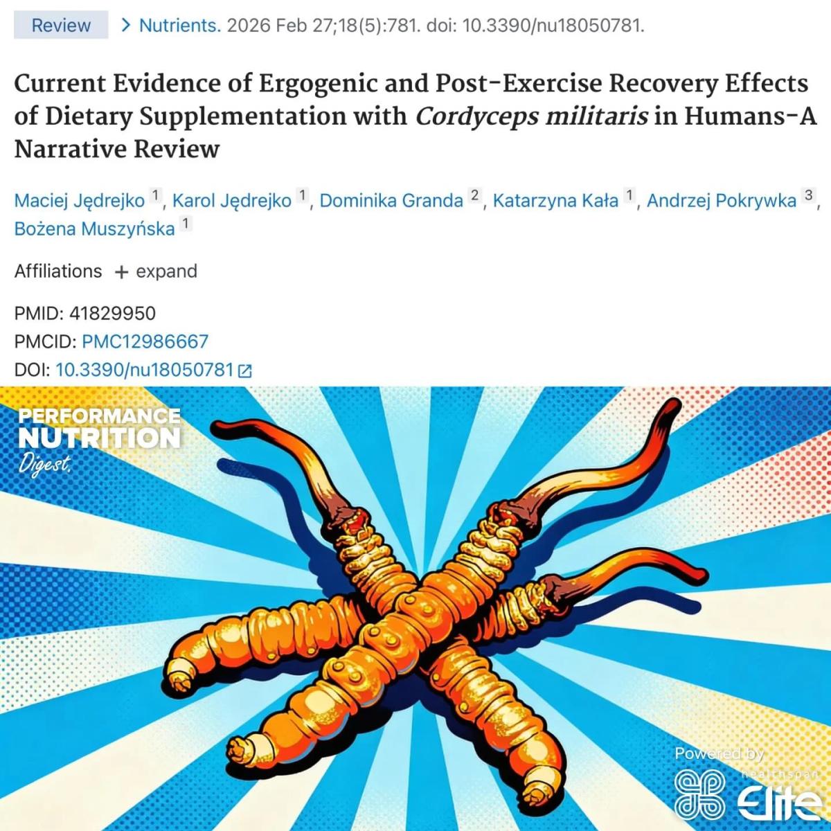 Cordyceps May Boost Endurance and Recovery Performance