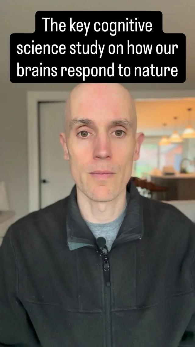 Park Walks Boost Cognition, Even if You Dislike Them