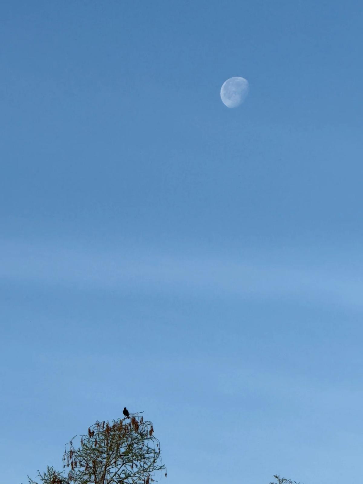 First Humans Since 1972 Capture Moon’s Dark Craters