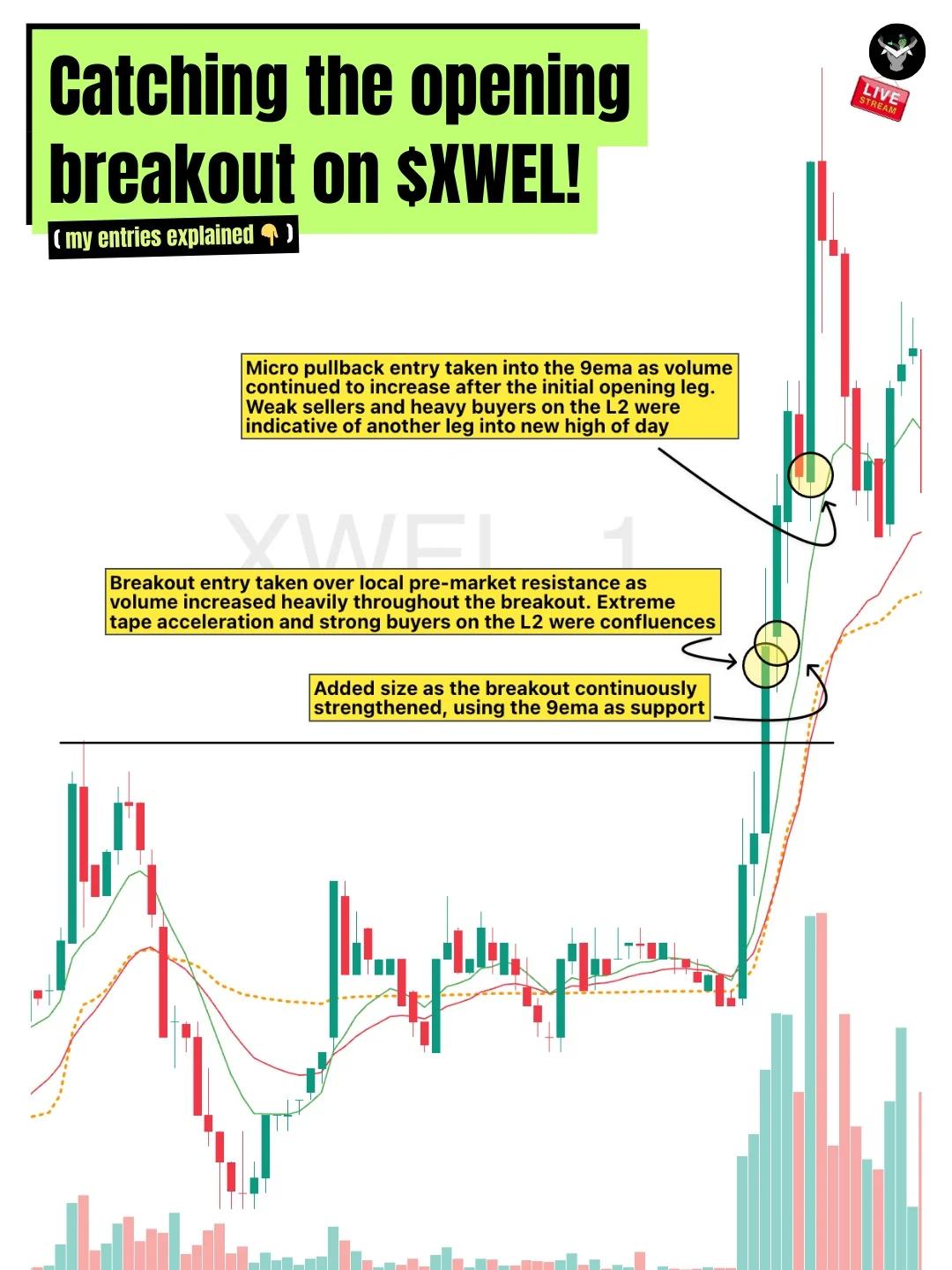 XWEL Secures Green Friday with Clean Open Exit