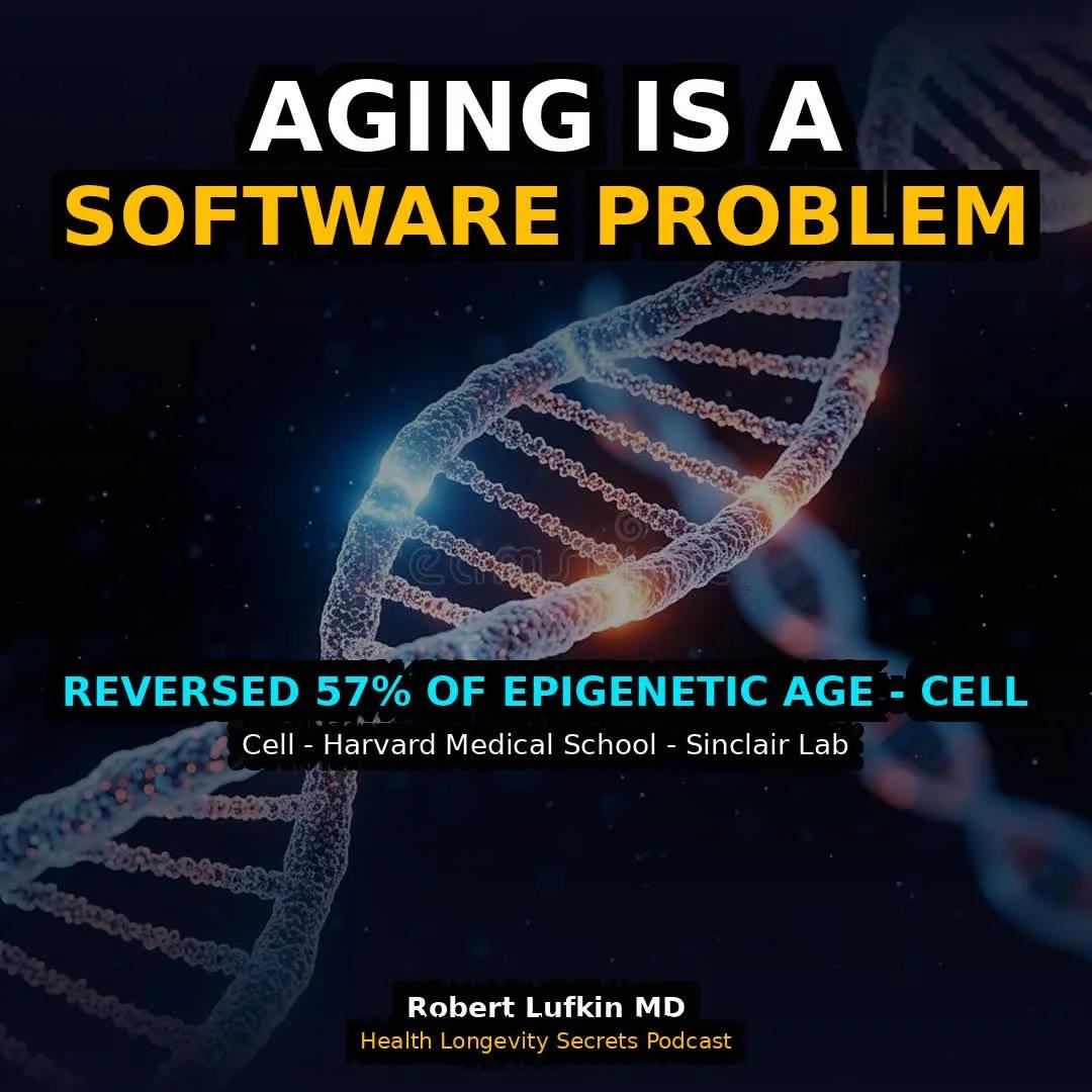 Epigenetic Disruption, Not DNA Damage, Drives Accelerated Aging