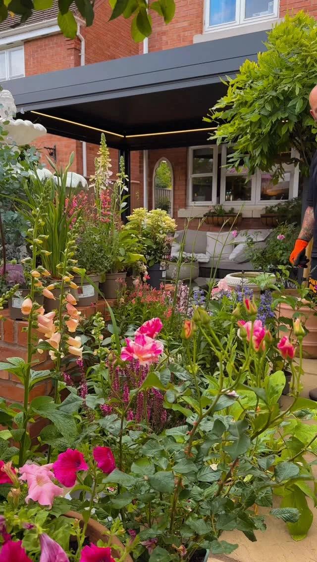 Joyful Garden Border Inspires Pollinators and New Growth