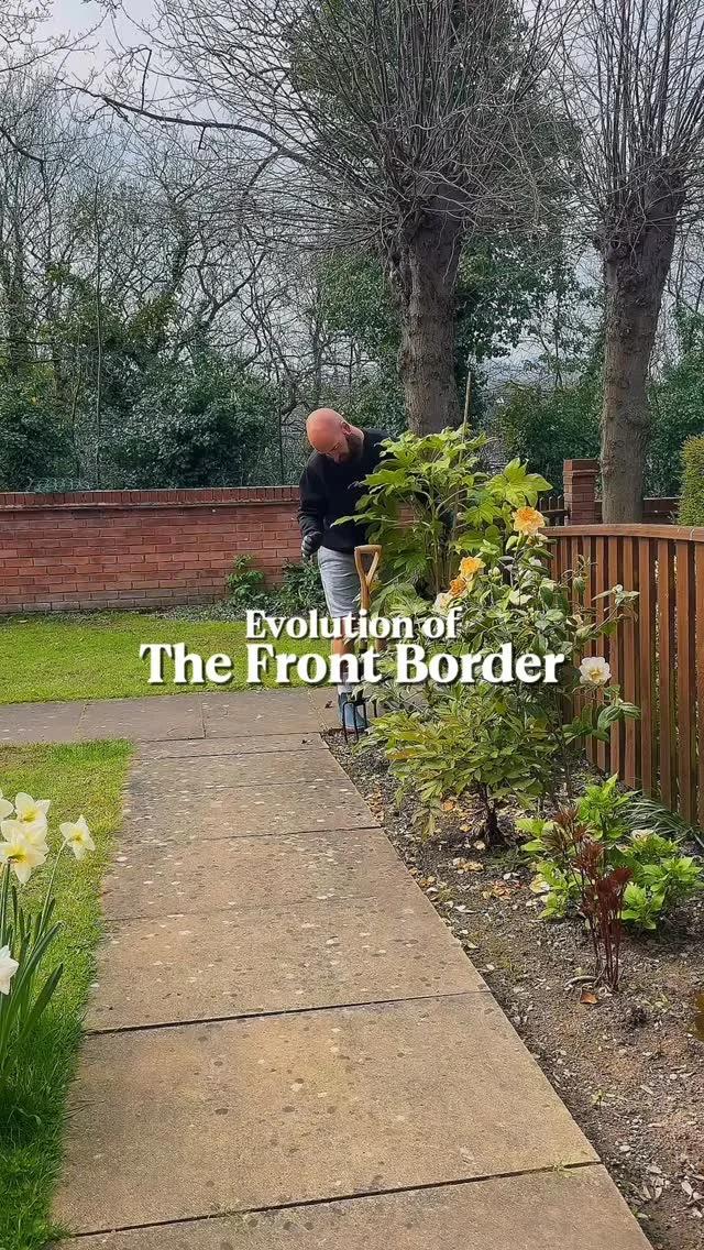 From Mismatch to Masterpiece: My Front Border Blossoms