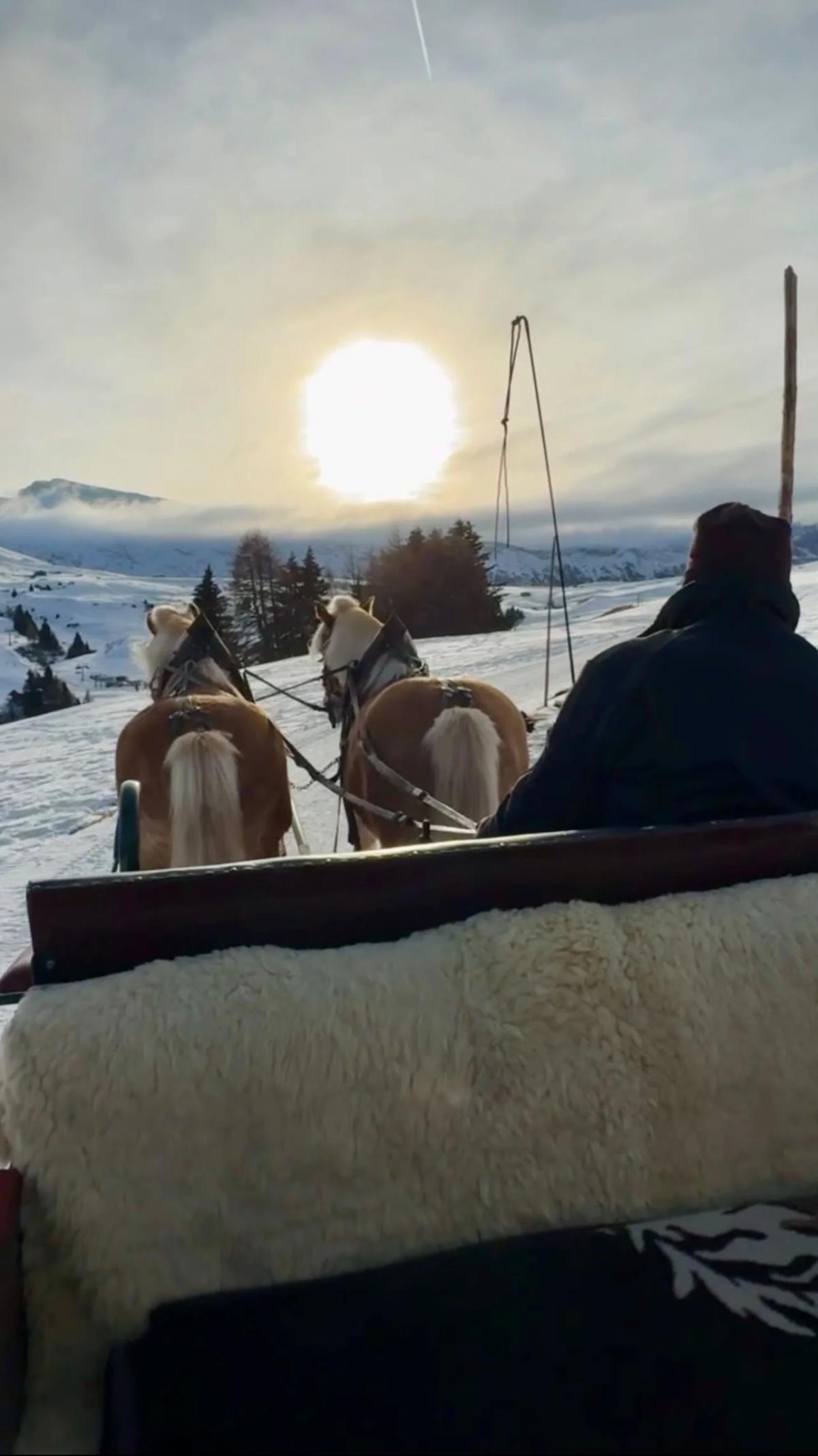 Snowy Carriage Ride Through Alpe Di Siusi's Magic