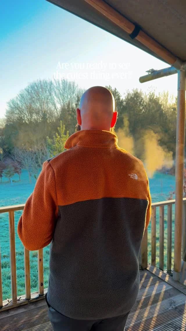 Bee Obsessed? Give Them a Gentle High‑Five