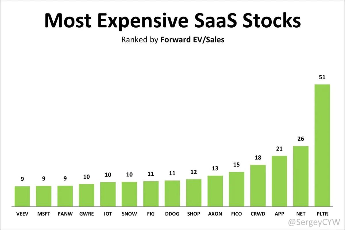 SaaS Giants Trade at Sky‑high EV/Sales Multiples