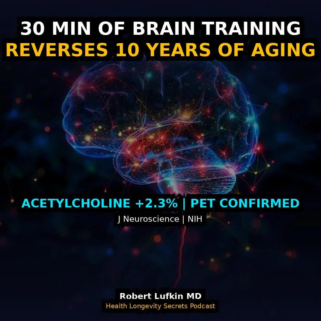 30‑Minute Daily Brain Training Reverses Decade‑Long Acetylcholine Decline