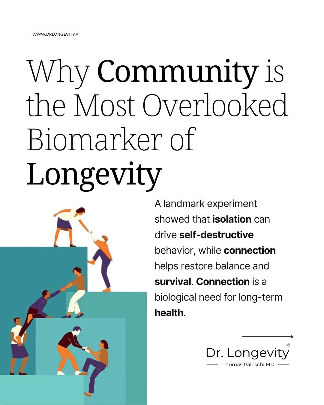 Strong Social Ties Boost Health and Longevity