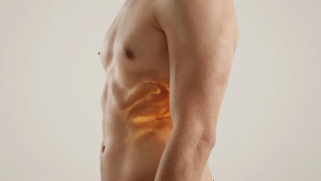 SLIT3 Protein Identified as Boost for Brown-Fat Calorie Burning, Opening New Biohacking Path