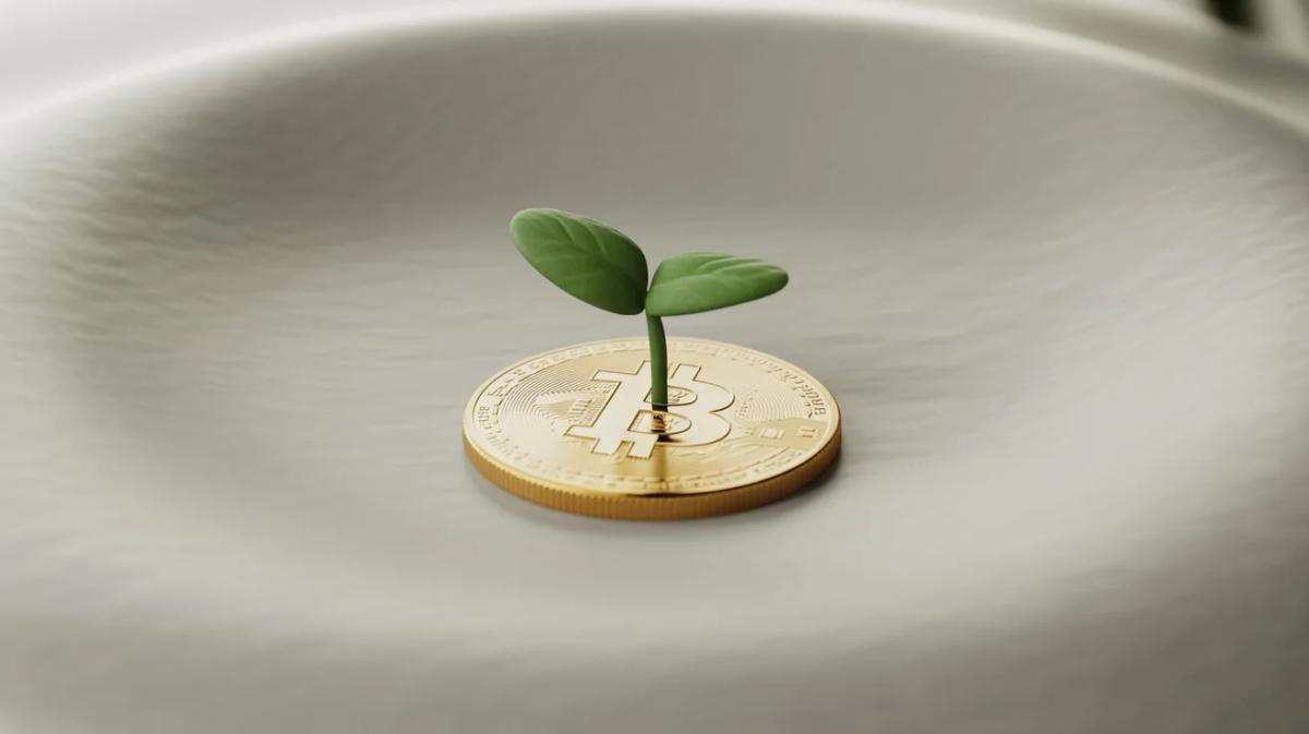 Crypto Social Growth: What Works and What Fails