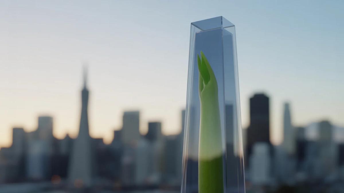 Polymarket Expands to US Backed by Sequoia