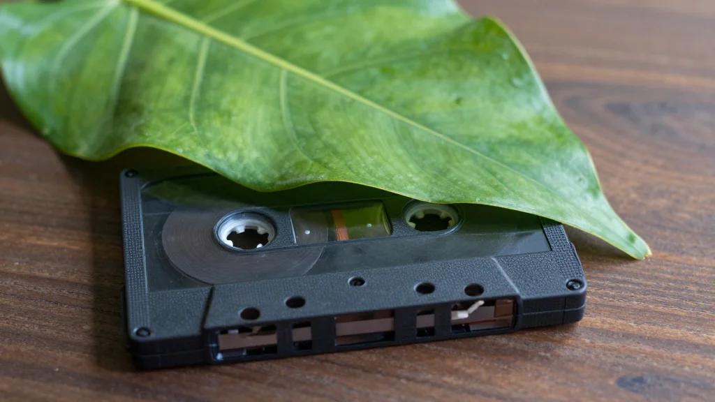 The Strokes Announce New Album, Share New Song “Going Shopping”