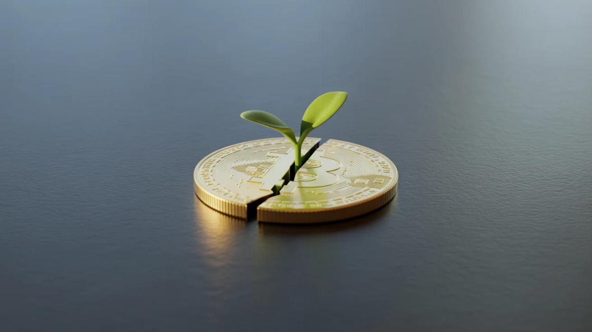 Seasoned Trader Sees 70% Dip, Offers Comeback Strategy