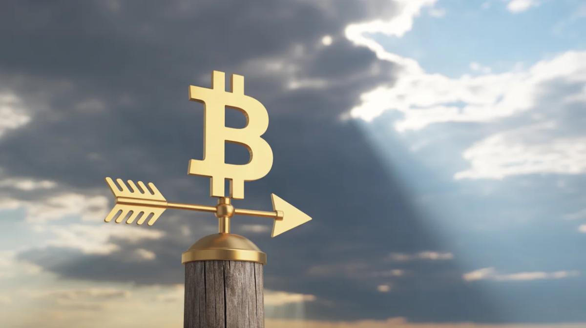 Bitcoin 2022 Bear Market Correlation Hits 98% as ETFs Add $220M