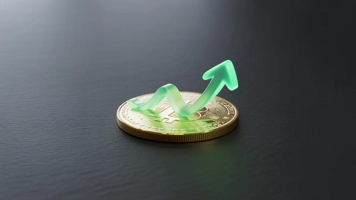 Stonksy Delivers 60% Bitcoin Gains, 600% with Leverage