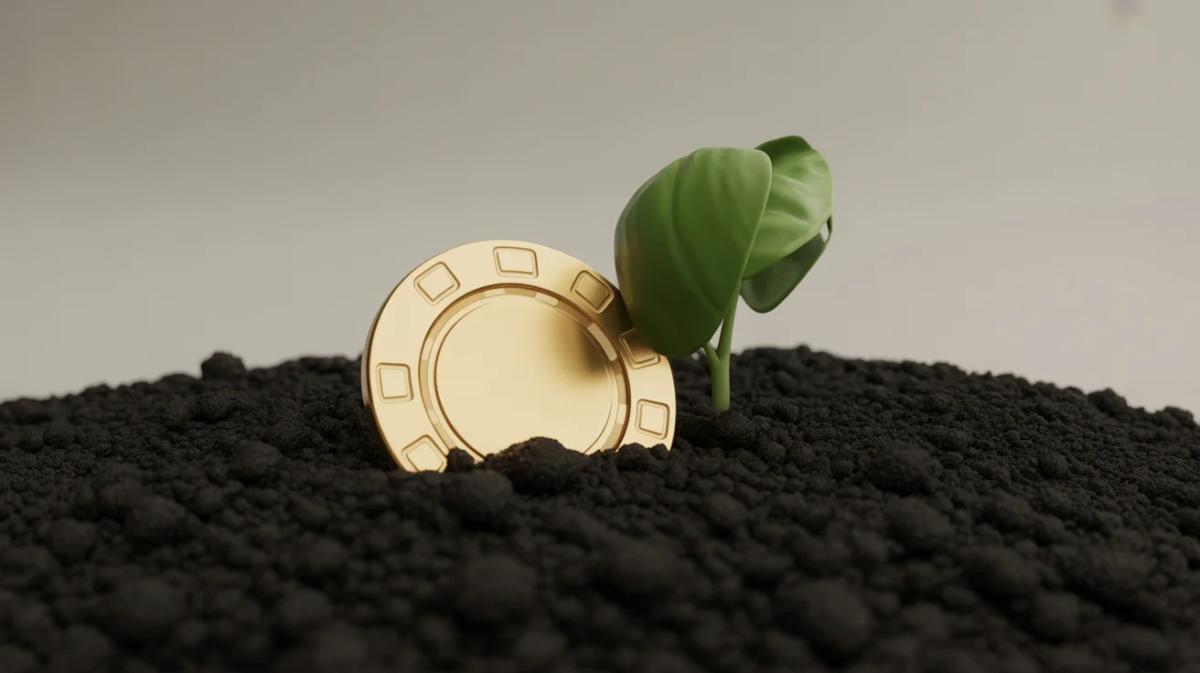 Poker Teaches, Business Compounds: Master Both for Success