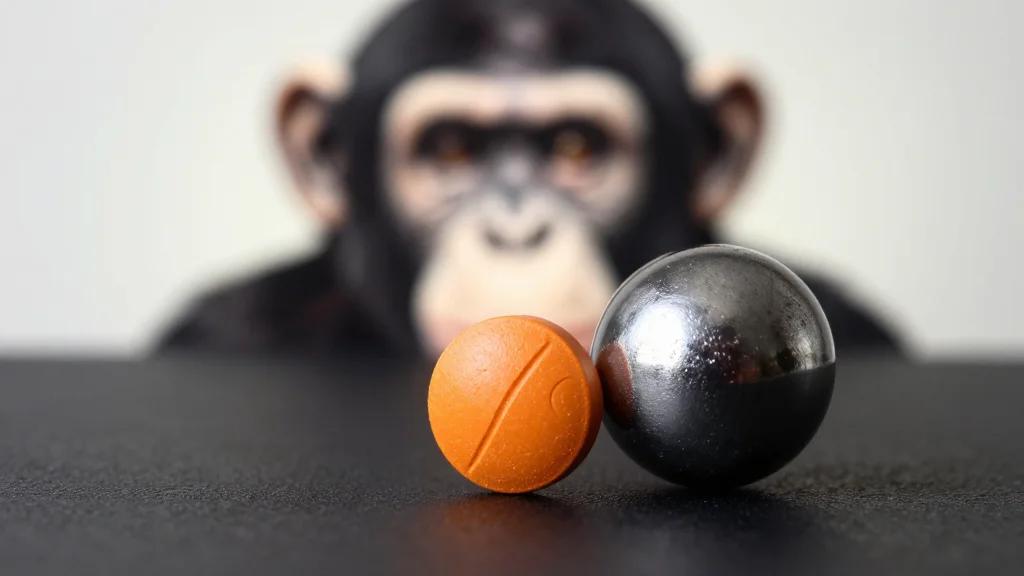 Vitamin C Slows Primate Aging by Targeting Iron-Driven Lipid Peroxidation