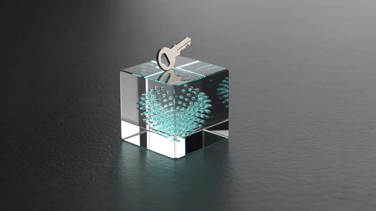 Zero‑Knowledge Proofs Enable Fast, Publicly Verifiable Blockchains